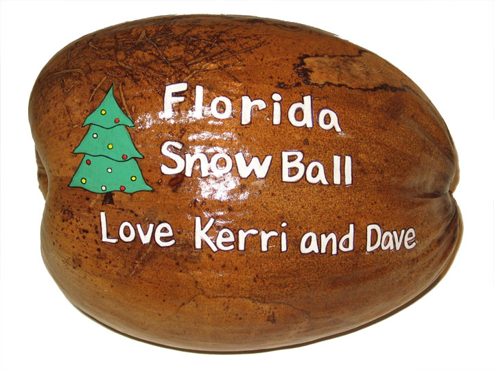 Florida Snowball painted coconut