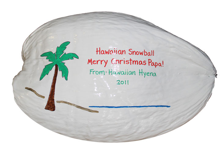 Hawaiian Snowball Painted Coconut